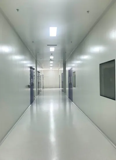 Wonclean real project photo of a cleanroom corridor with continuous wall panels, ceiling panels, observation windows and cleanroom doors